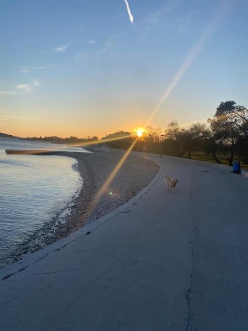 Apartmán Prostorný domov v nejkrásnější části Chorvatska Vodice Exteriér fotografie