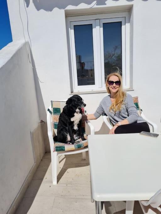 Apartmán Prostorný domov v nejkrásnější části Chorvatska Vodice Exteriér fotografie
